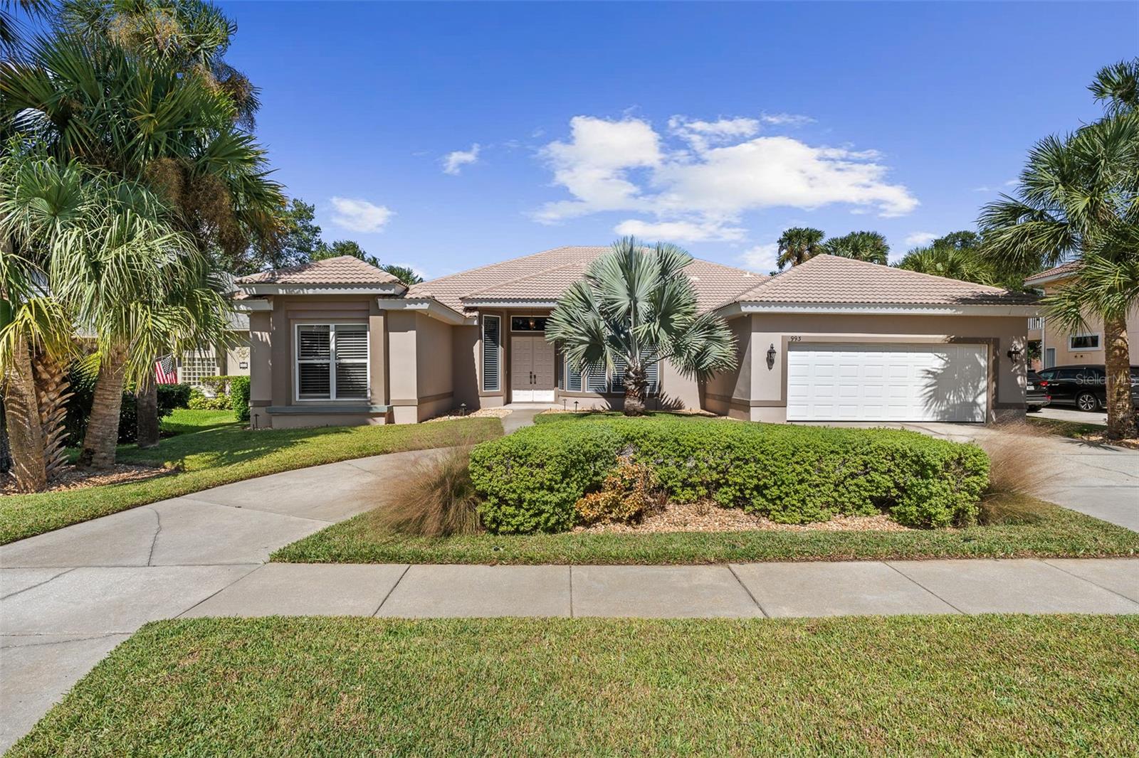 Driveway View