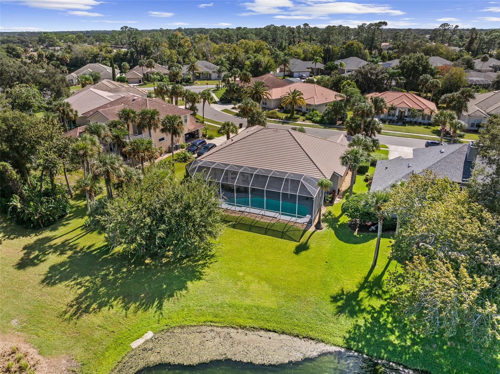 Backyard Drone View