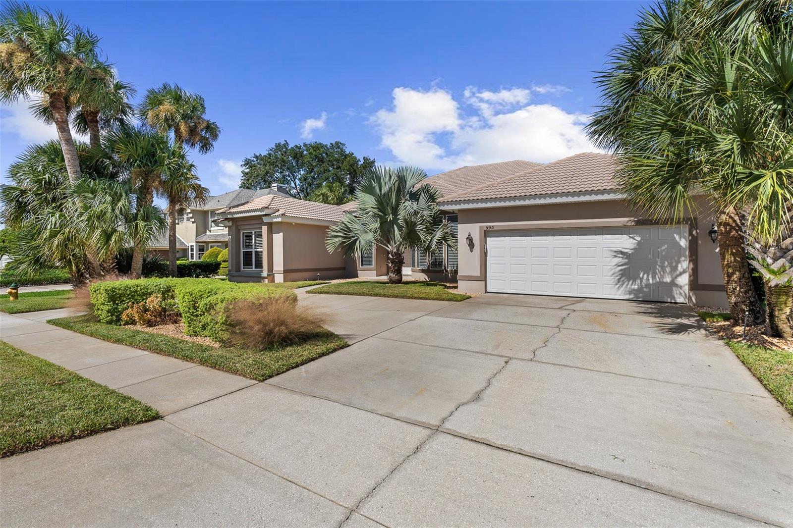 Driveway View