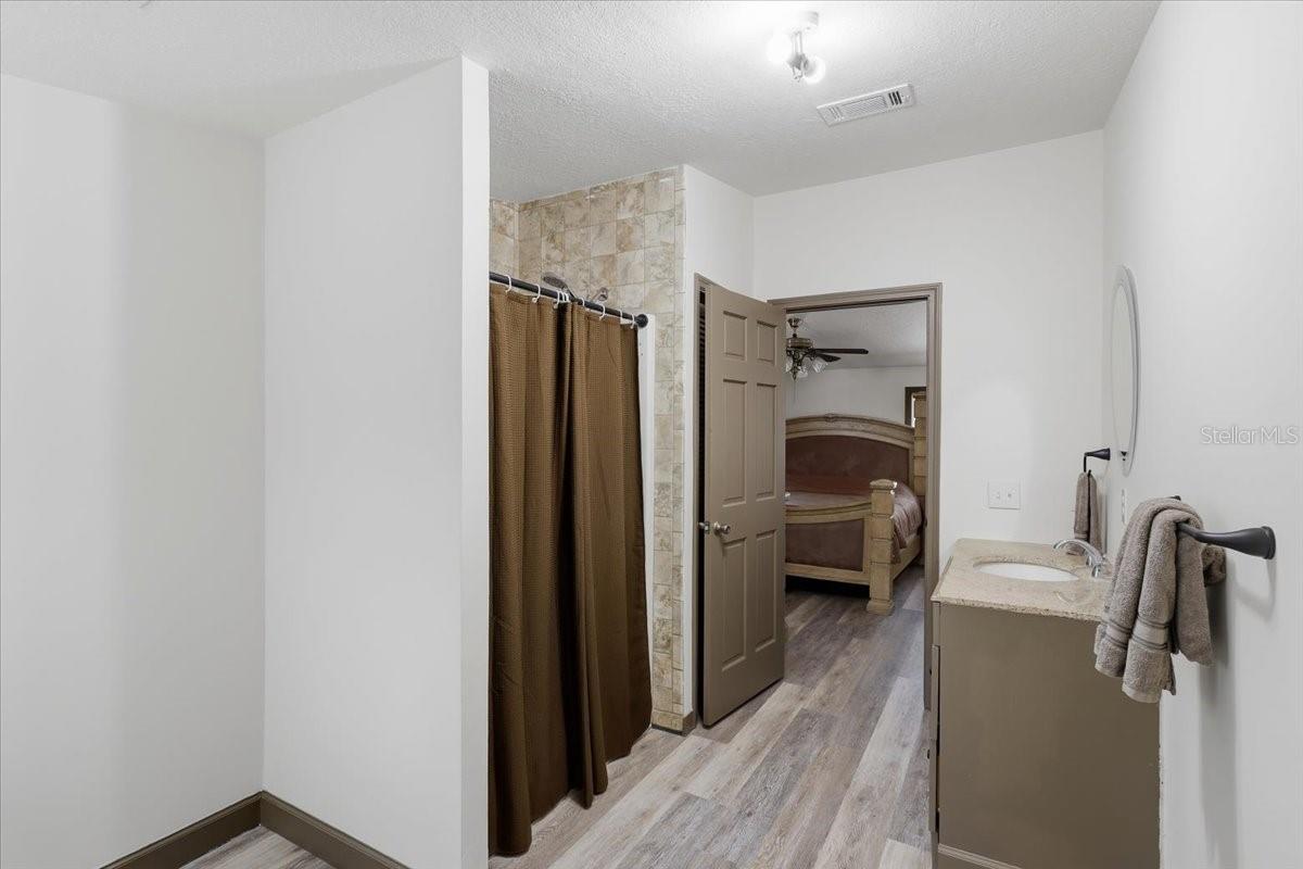 Primary bathroom/walk-in shower