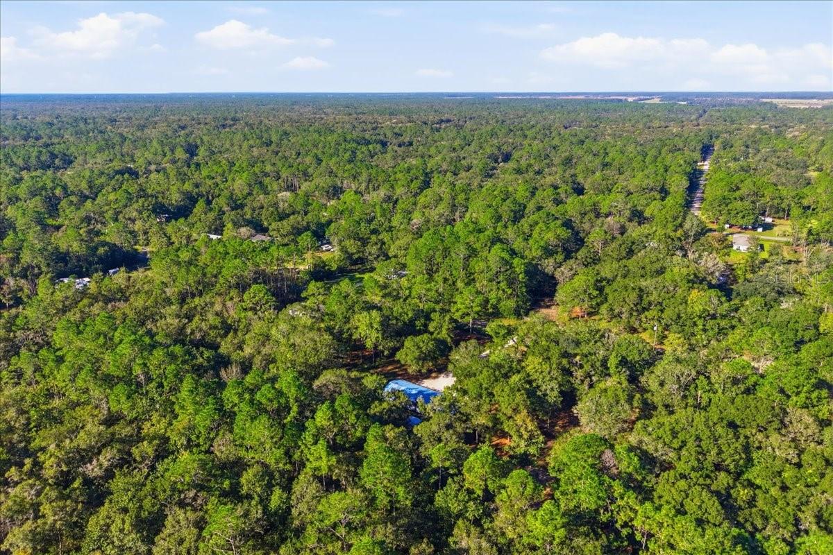 9860 NIKOLICH AVENUE, Hastings, FL 32145