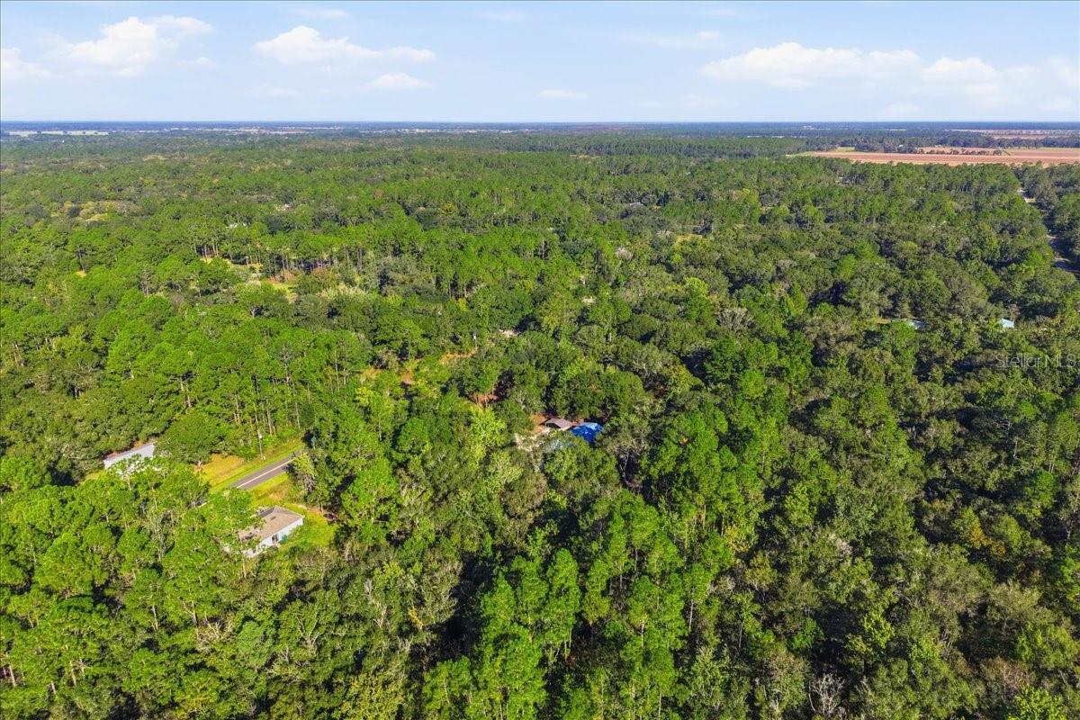 9860 NIKOLICH AVENUE, Hastings, FL 32145