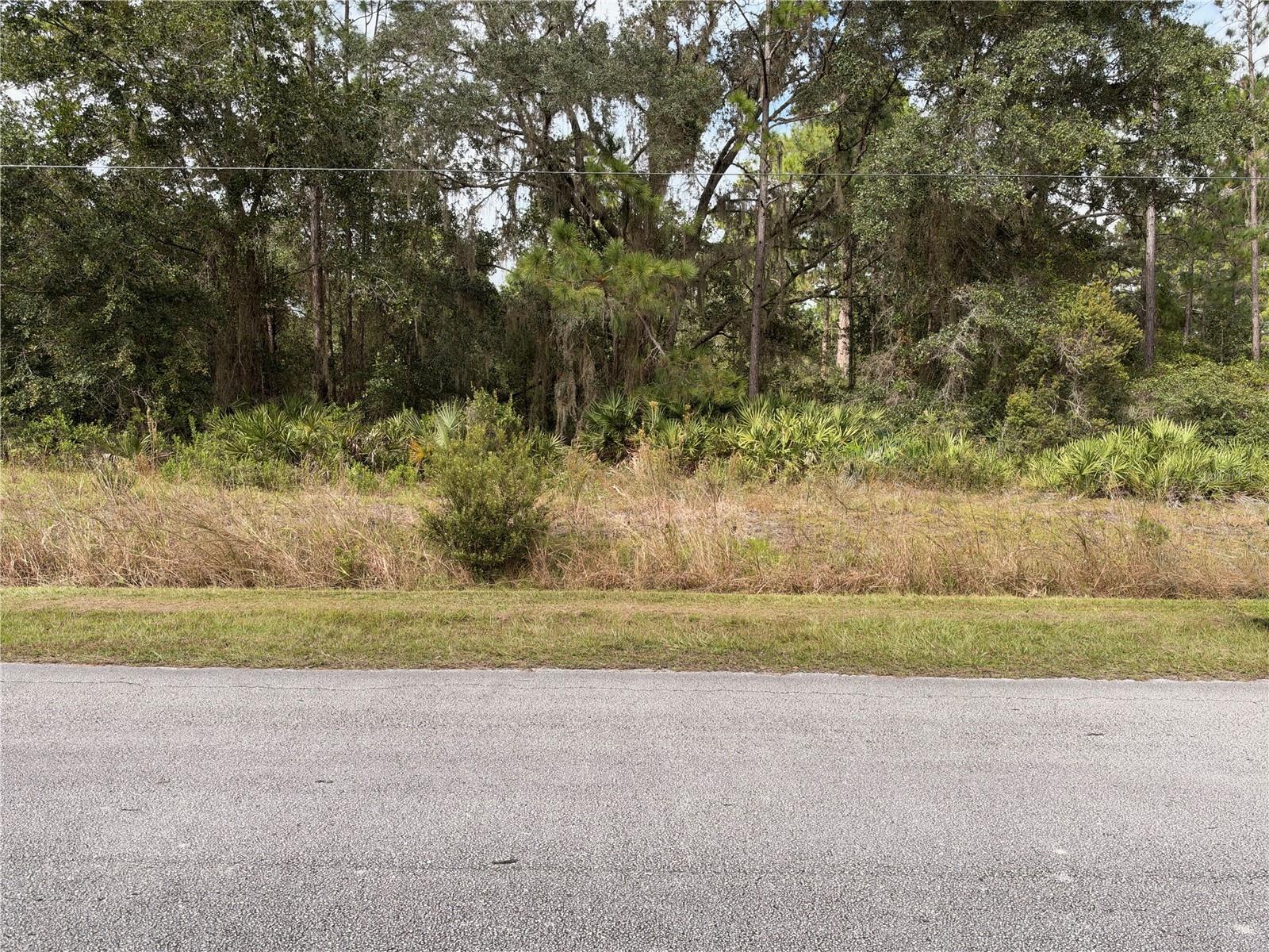101 MIMOSA STREET, Georgetown, FL 32139