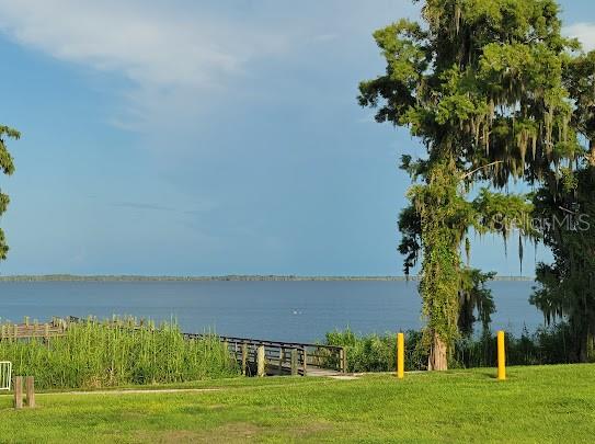 101 MIMOSA STREET, Georgetown, FL 32139