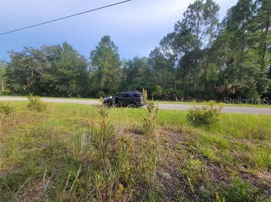 101 MIMOSA STREET, Georgetown, FL 32139