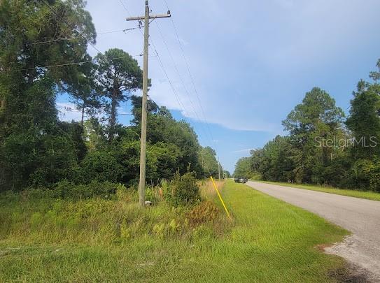 101 MIMOSA STREET, Georgetown, FL 32139