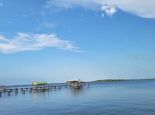 101 MIMOSA STREET, Georgetown, FL 32139