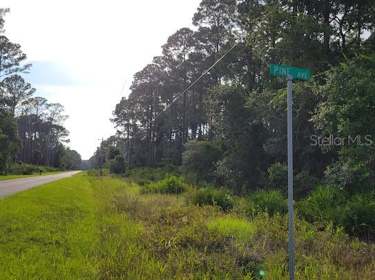 101 MIMOSA STREET, Georgetown, FL 32139