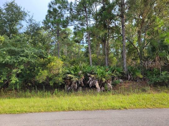 101 MIMOSA STREET, Georgetown, FL 32139