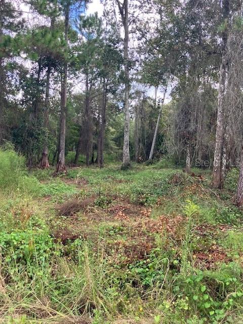 1881 HAZELNUT STREET, Bunnell, FL 32110