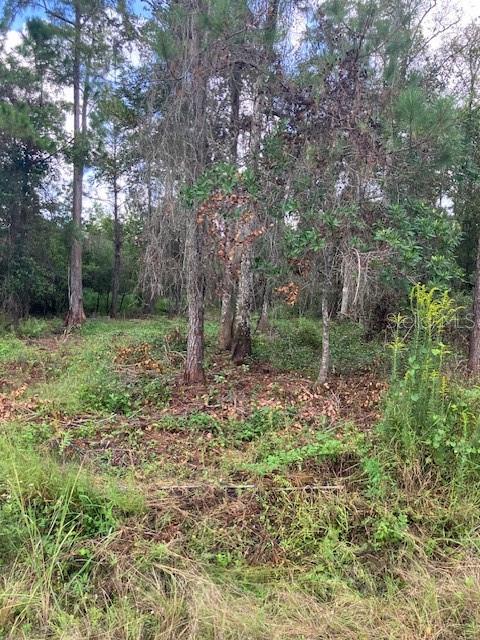 1881 HAZELNUT STREET, Bunnell, FL 32110