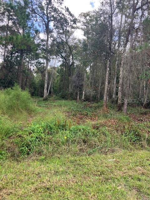 1881 HAZELNUT STREET, Bunnell, FL 32110