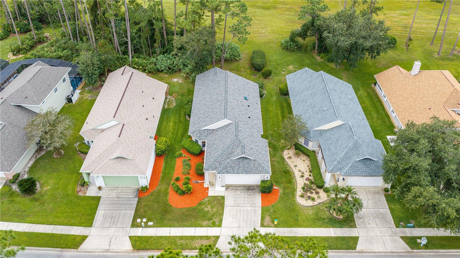 New Roof 2024