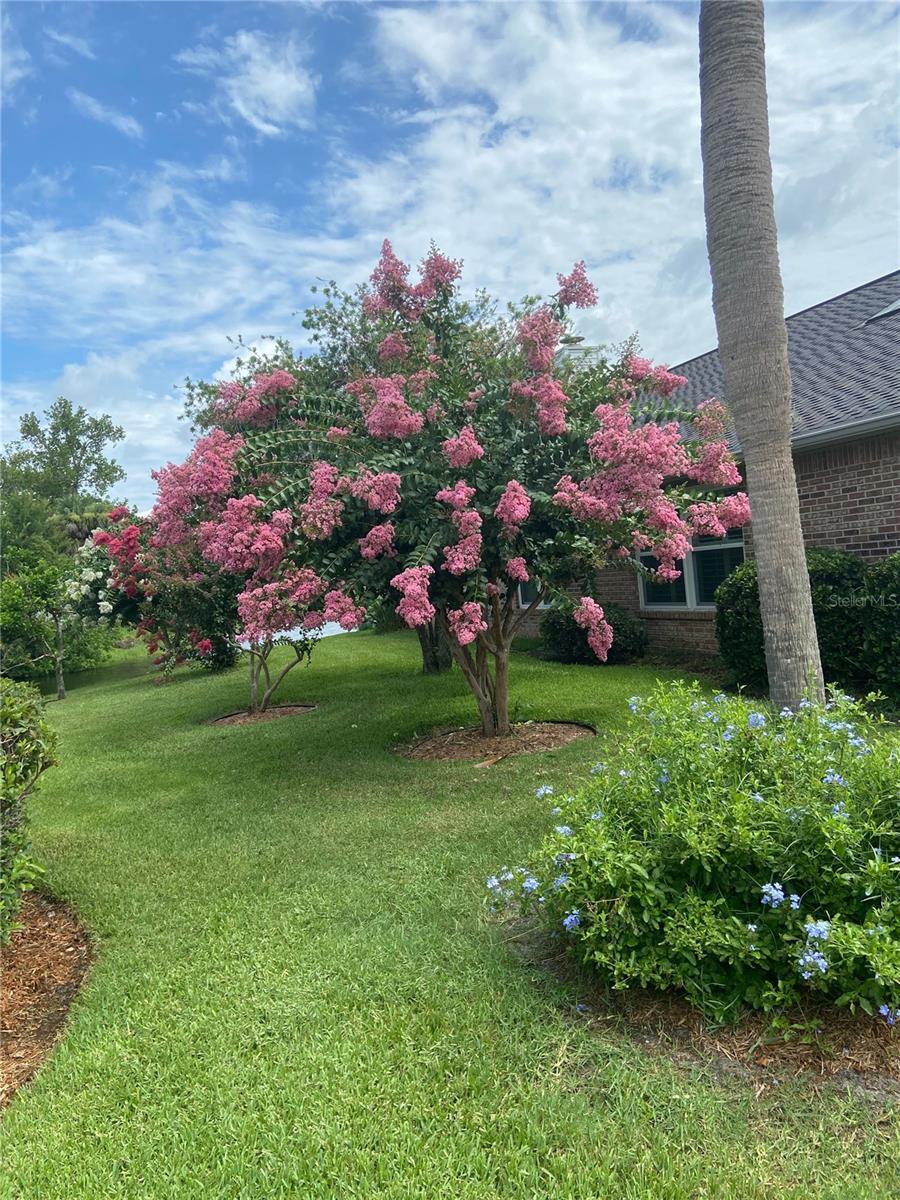 109 MORNING DOVE COURT, Daytona Beach, FL 32119