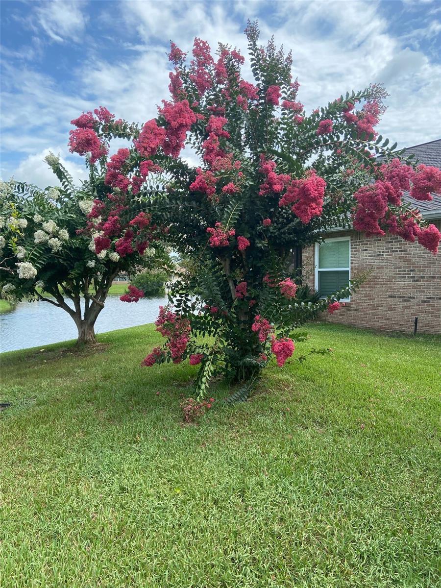 109 MORNING DOVE COURT, Daytona Beach, FL 32119