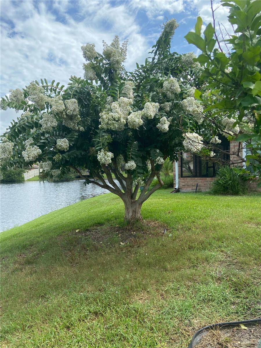 109 MORNING DOVE COURT, Daytona Beach, FL 32119