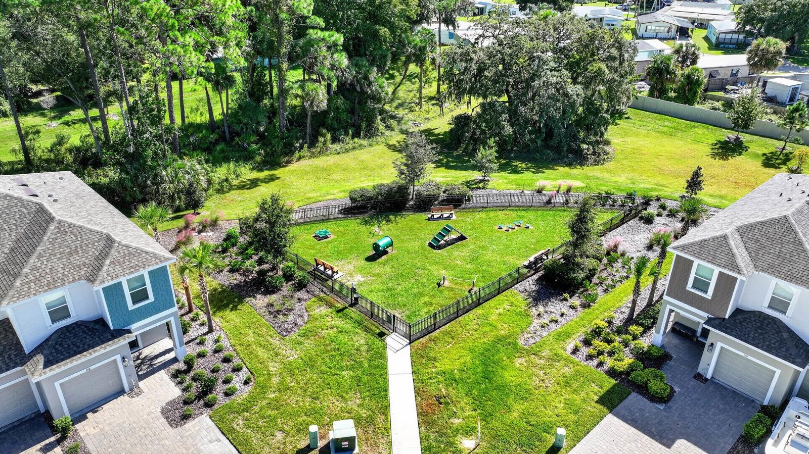 It's A Dog Park!