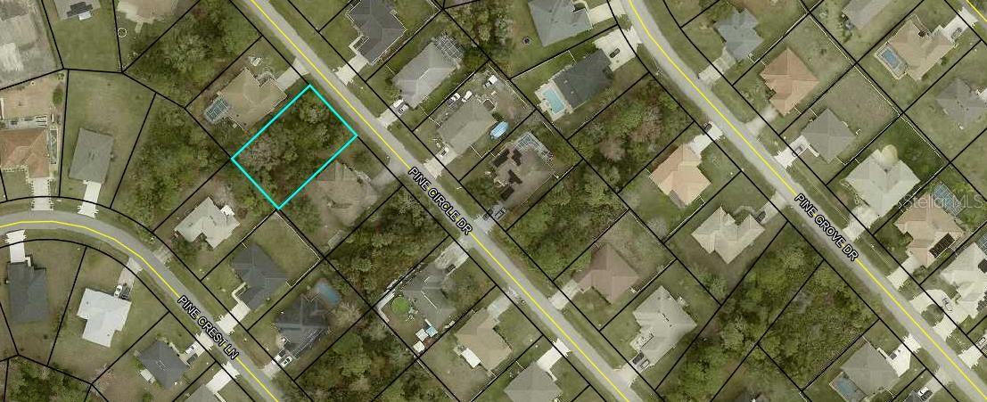 54 PINE CIRCLE DRIVE, Palm Coast, FL 32164 54 PINE CIRCLE DRIVE, Palm Coast, FL 32164