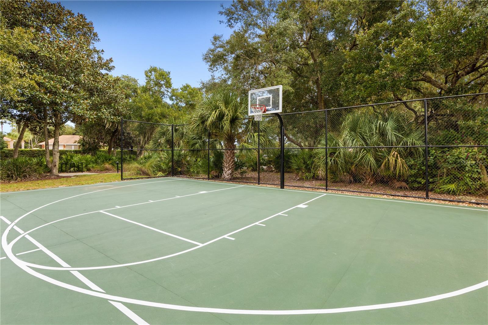 Basketball court