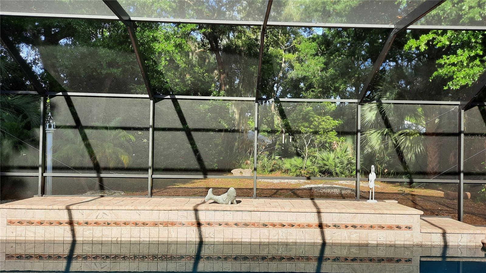 Screened pool area