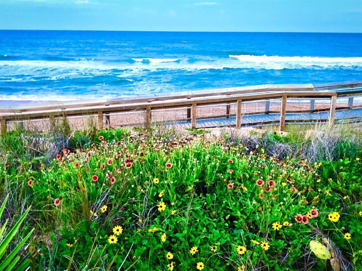 Ormond Beach