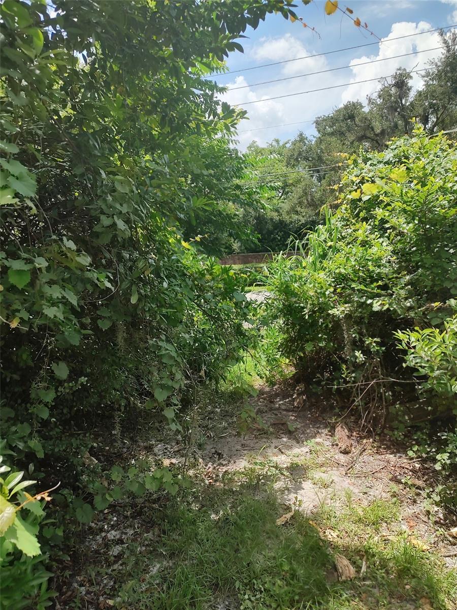 Community Dock located through a private and hidden trail access