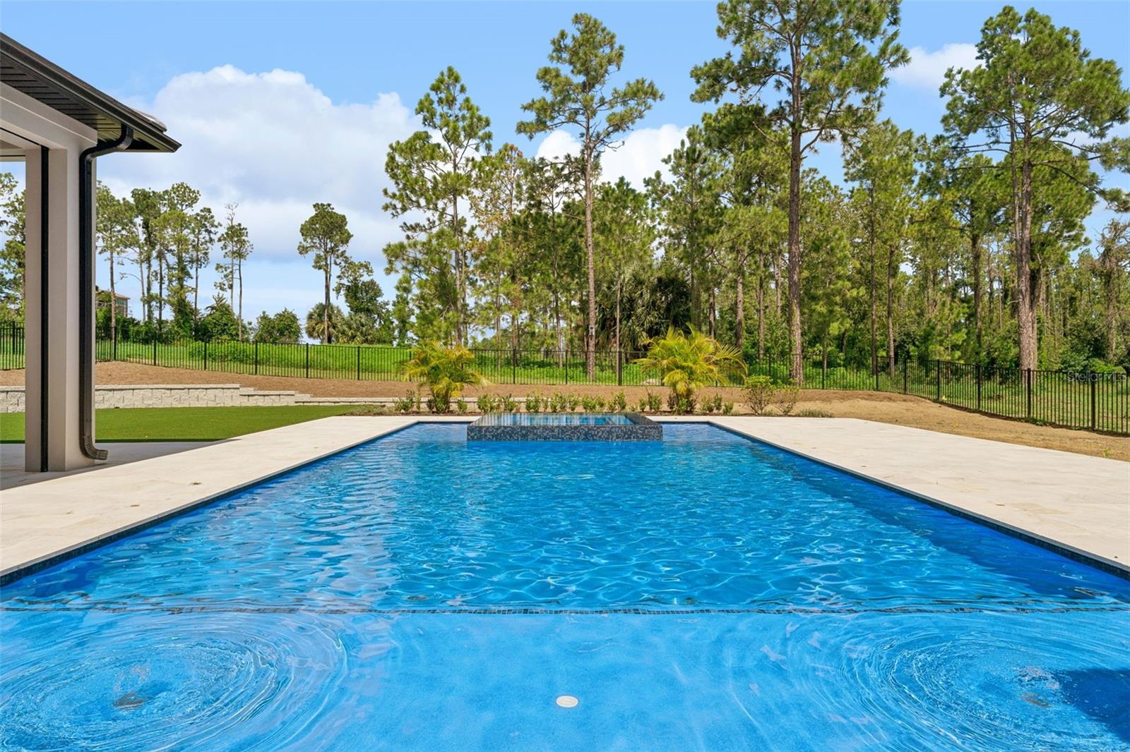 16118 PENDIO DRIVE, Montverde, FL 34756