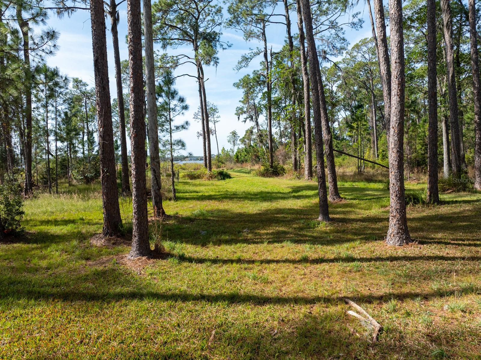 8822 WINTER GARDEN VINELAND ROAD, Orlando, FL 32836