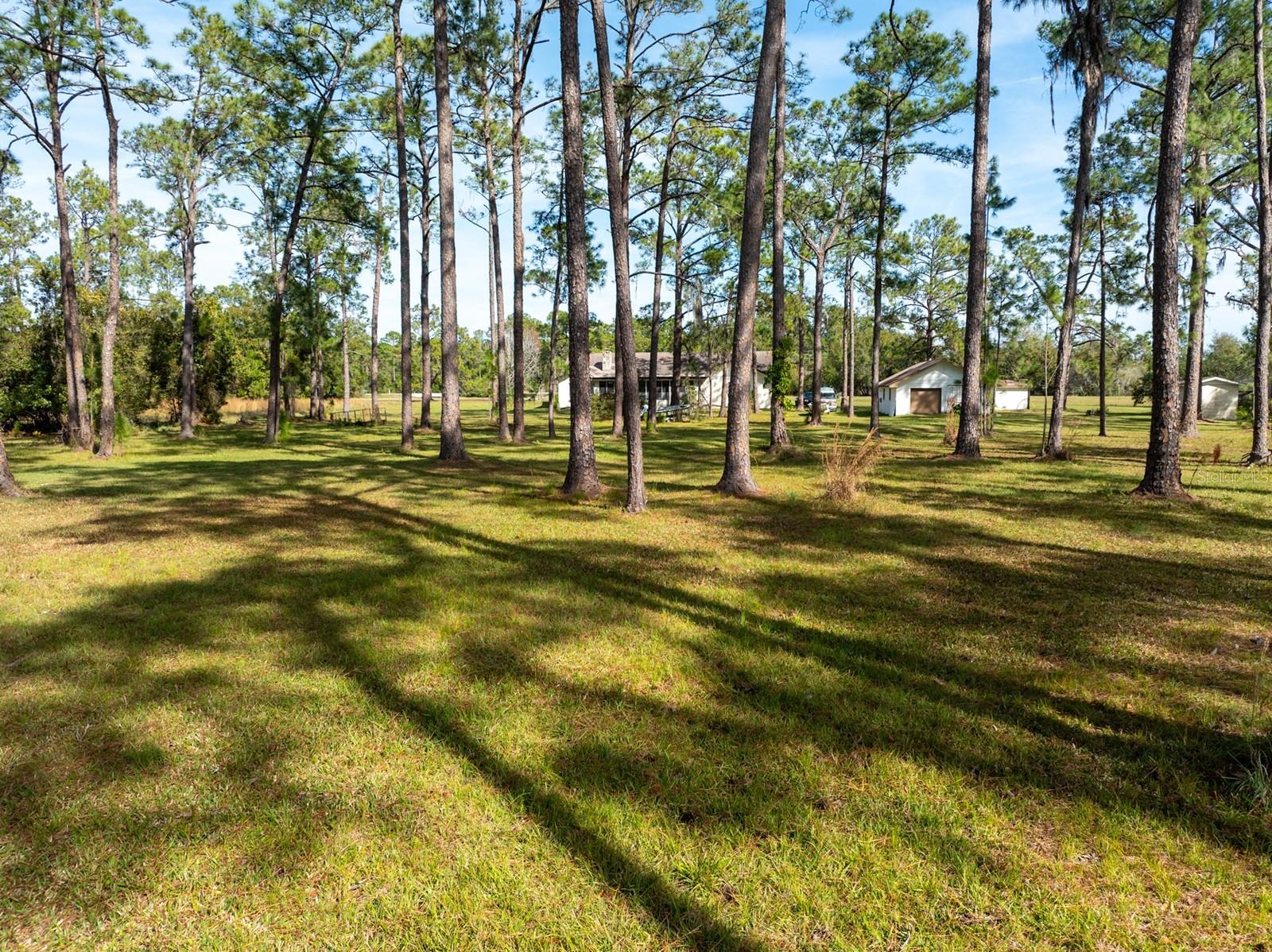 8822 WINTER GARDEN VINELAND ROAD, Orlando, FL 32836