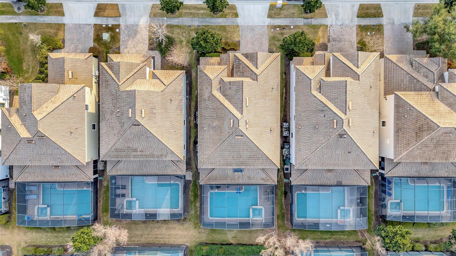 Birds Eye View
