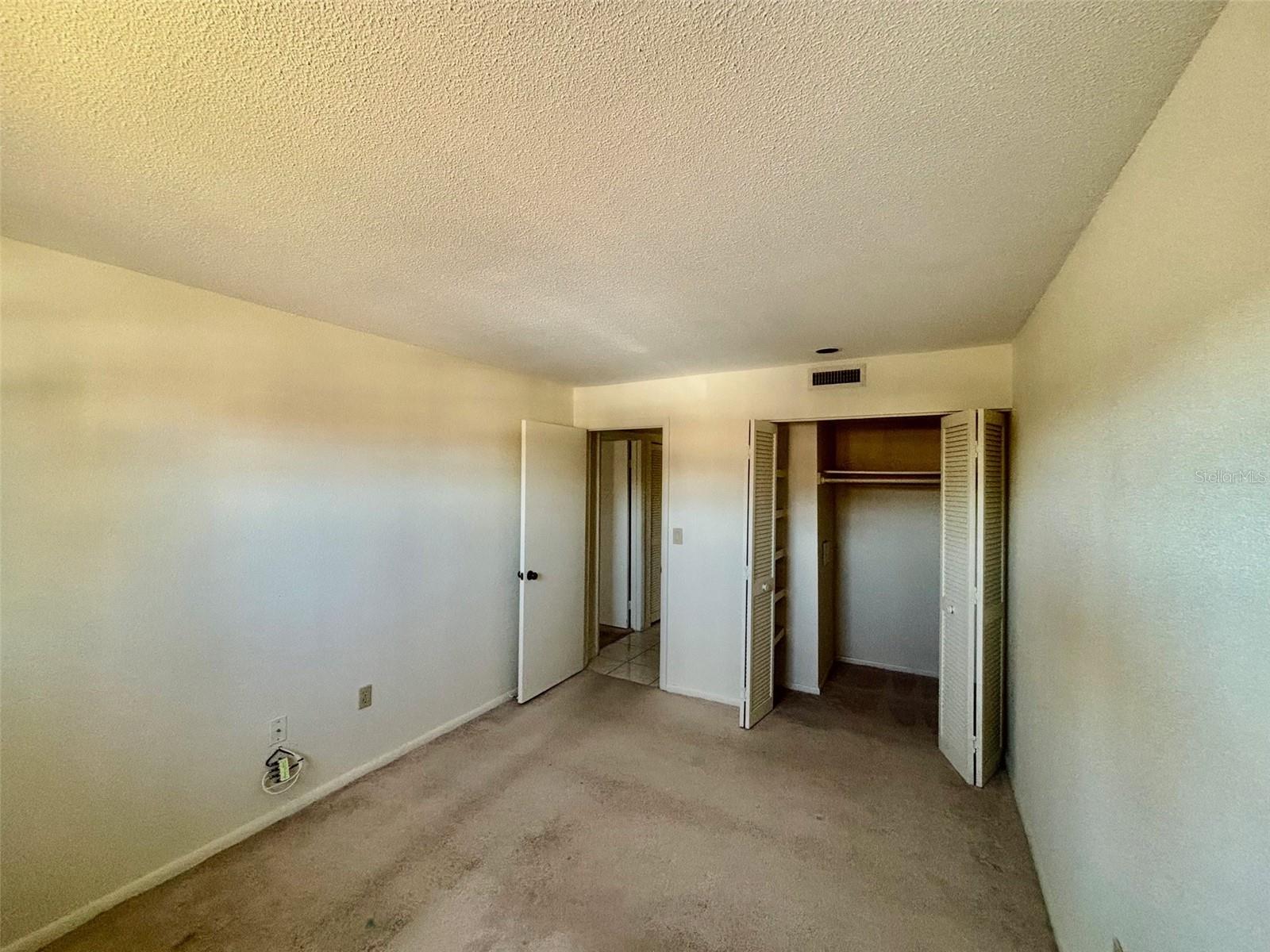 Guest bedroom with walk-in closet