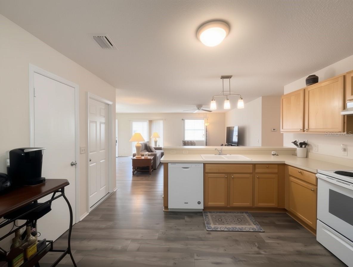16938 SE 94TH SUNNYBROOK CIRCLE, The Villages, FL 32162