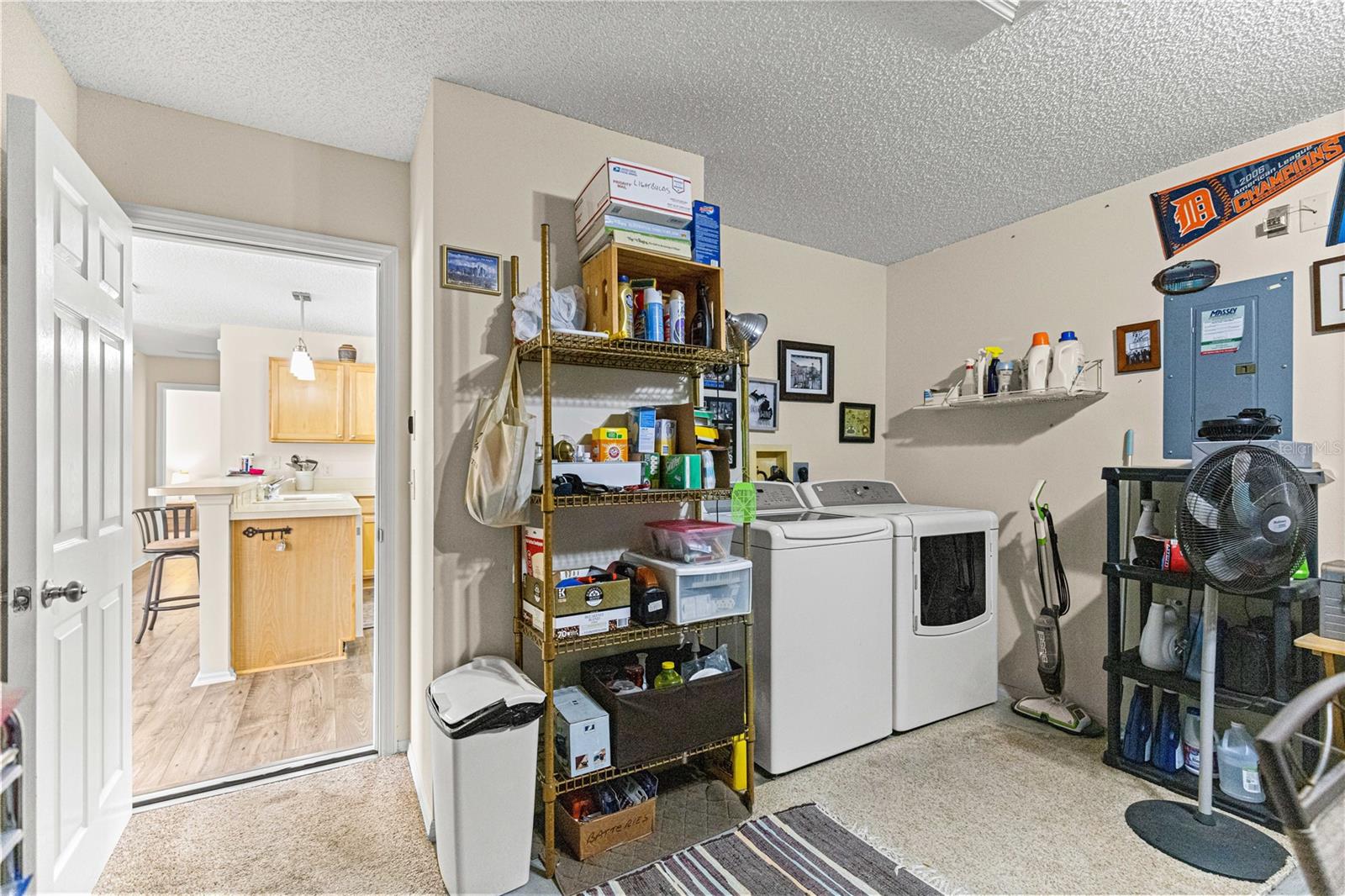 16938 SE 94TH SUNNYBROOK CIRCLE, The Villages, FL 32162