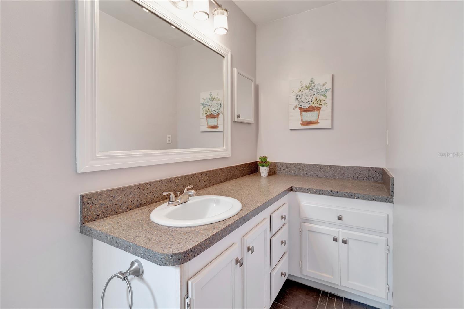 Updated bathroom counters