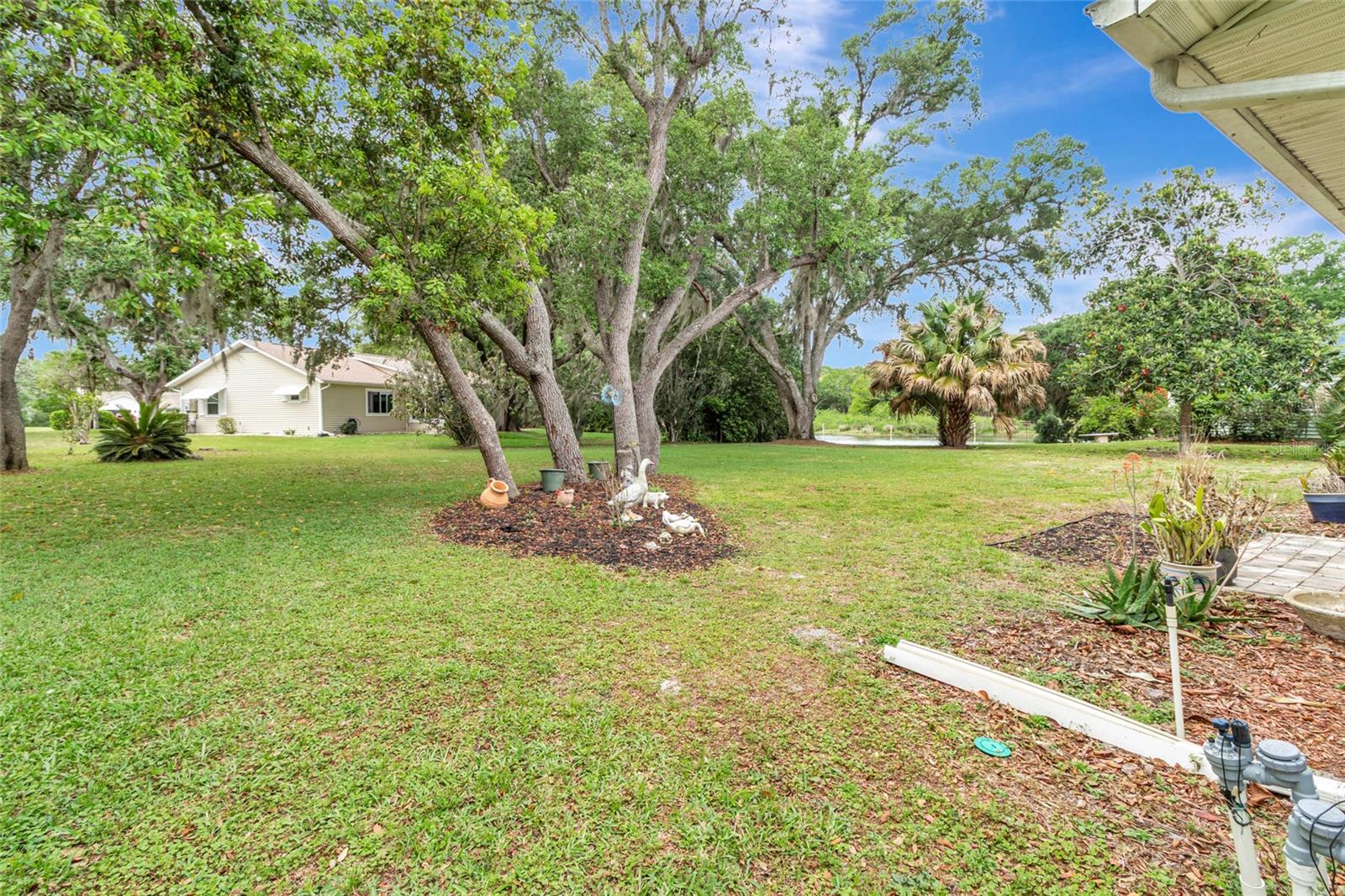 Manicured lawn and gardens
