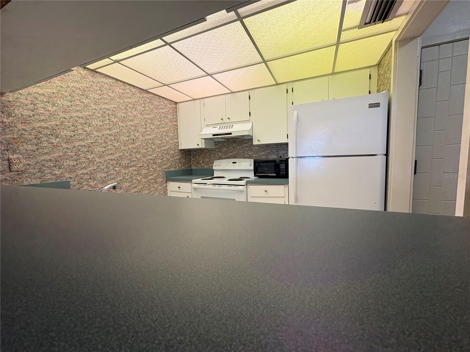 167 PALM VIEW COURT, #3487, Haines City, FL 33844 167 PALM VIEW COURT, #3487, Haines City, FL 33844
