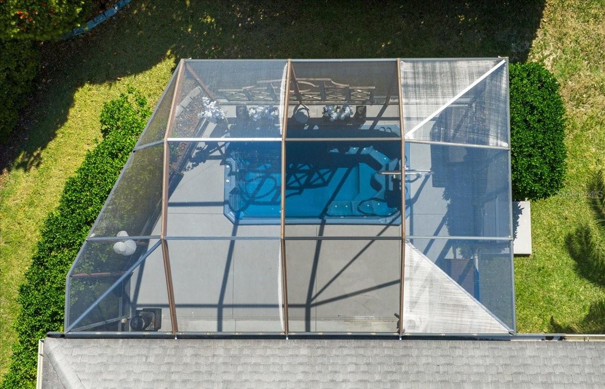 Swim Spa