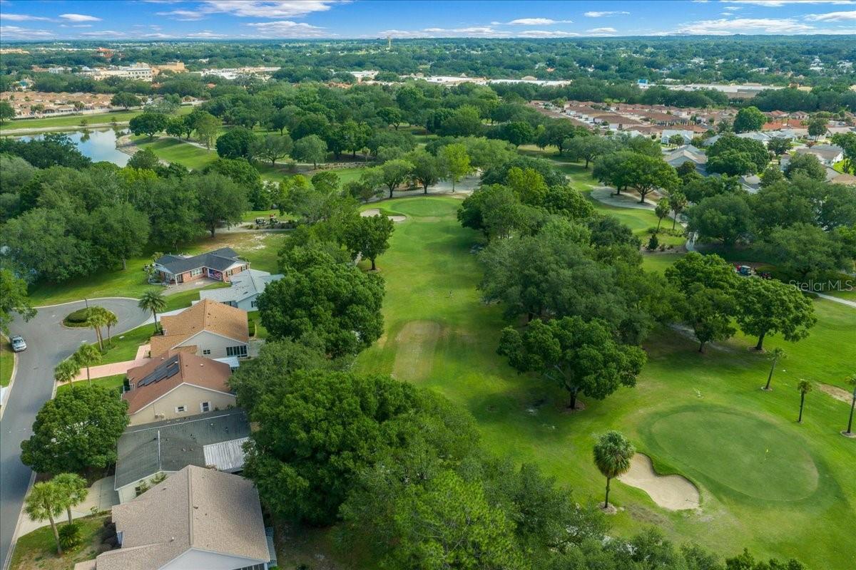 Your Backyard