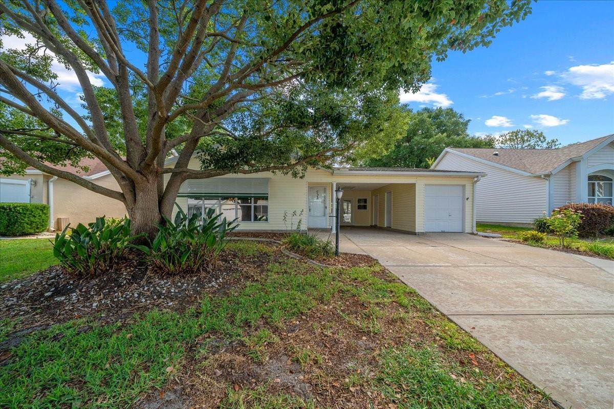 1133 Del Toro Dr 1133 Del Toro Dr
