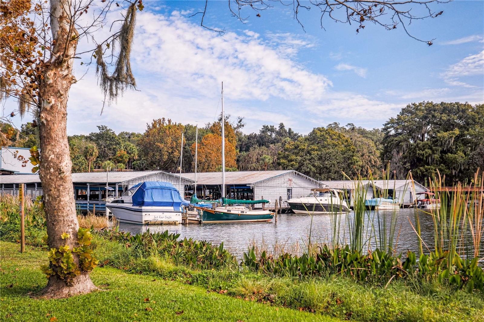 Downtown Mount Dora