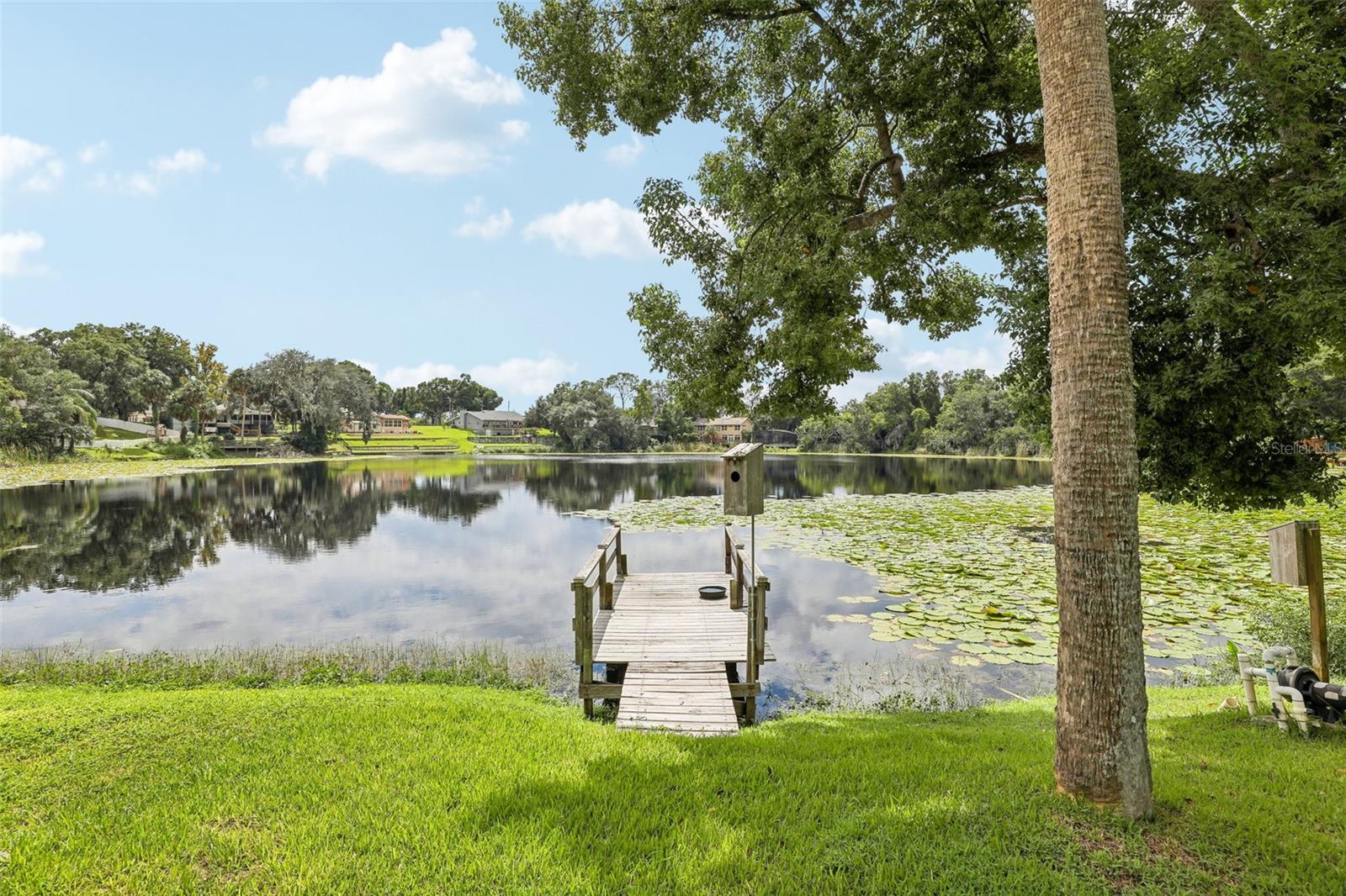 1460 GROVE STREET, Eustis, FL 32726