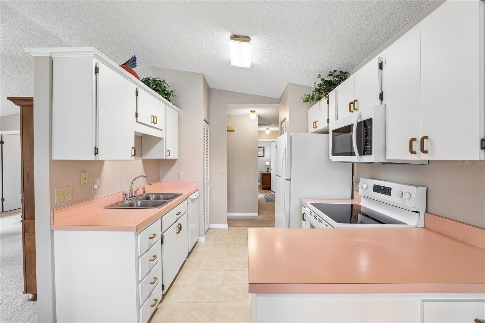 1460 GROVE STREET, Eustis, FL 32726