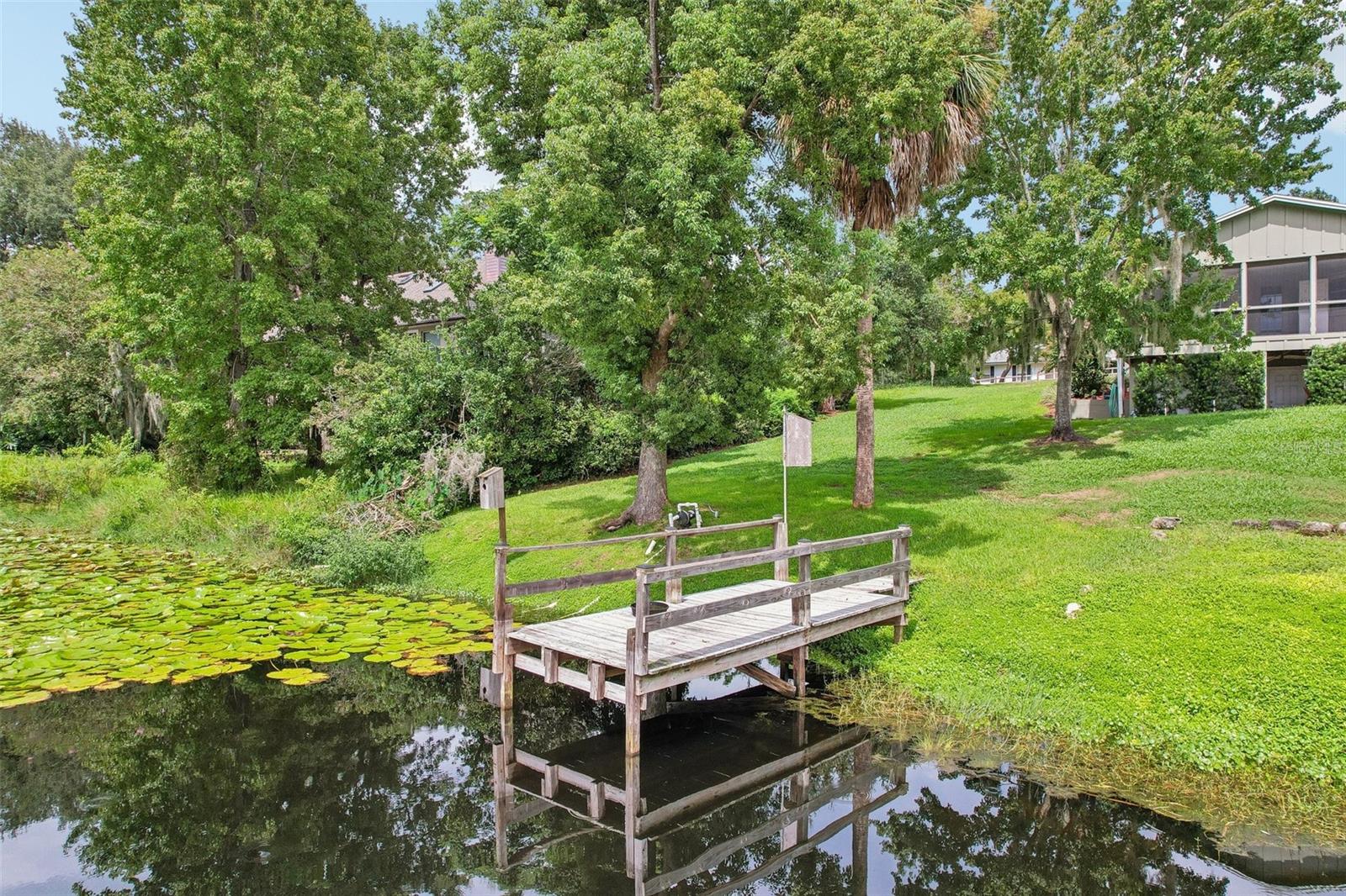 1460 GROVE STREET, Eustis, FL 32726