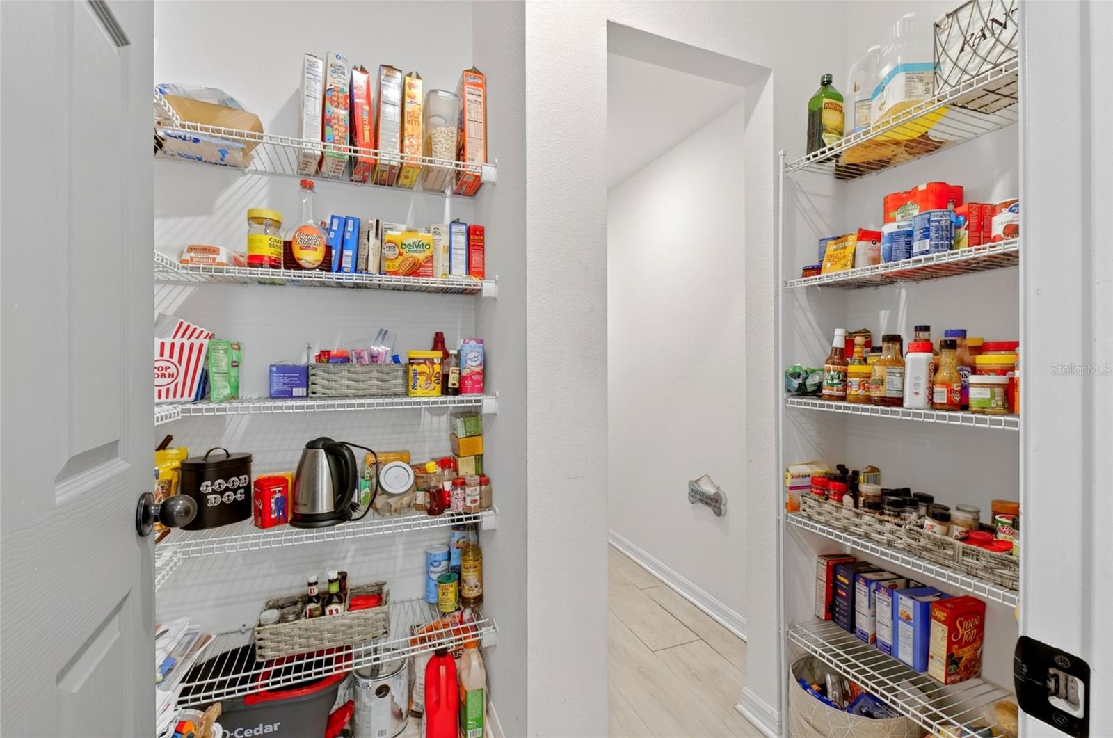 9399 VILLANOVA DRIVE, Groveland, FL 34736