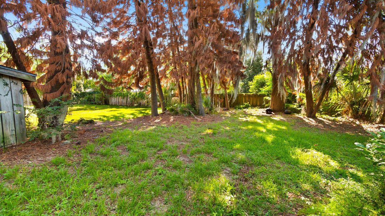 127 E LAUREL AVENUE, Howey In The Hills, FL 34737