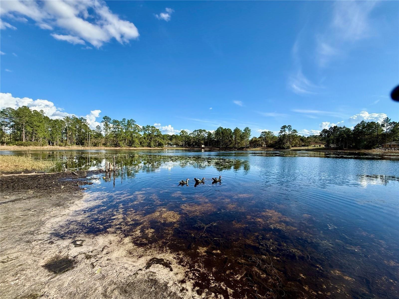 Lake Marion within the community