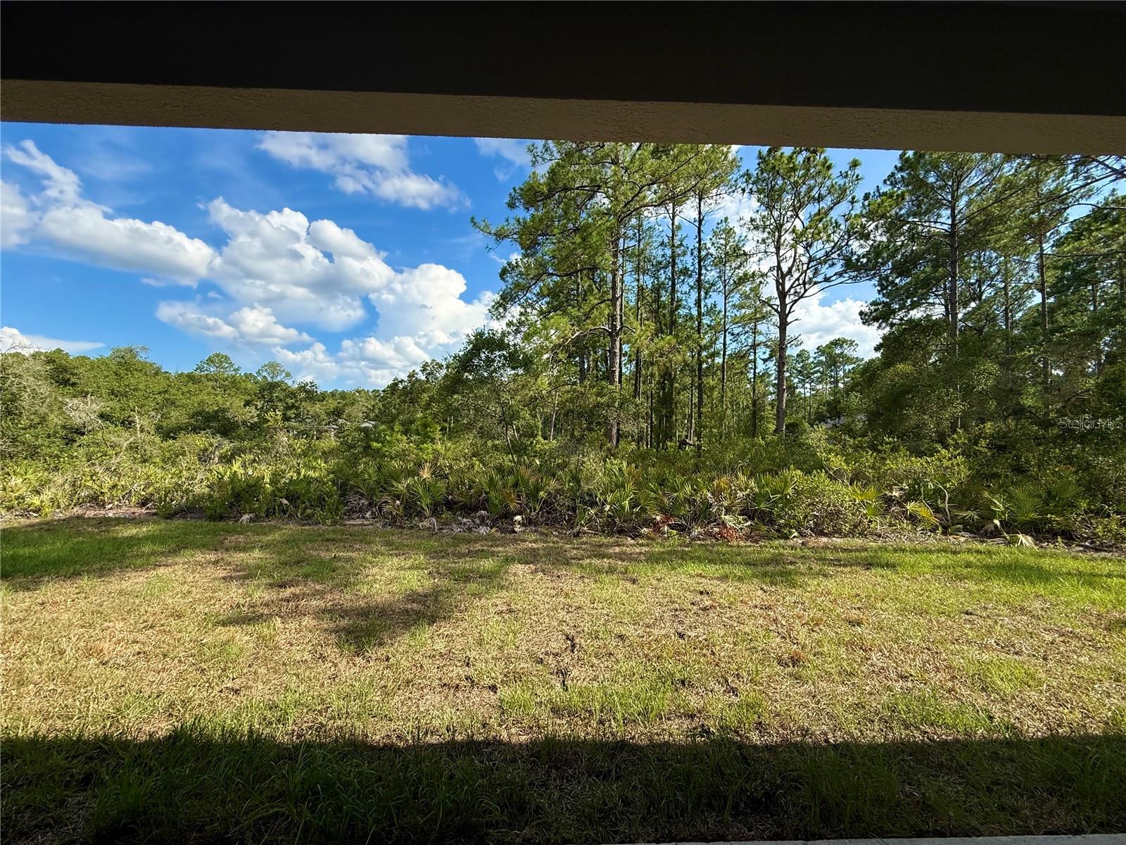 Back porch view