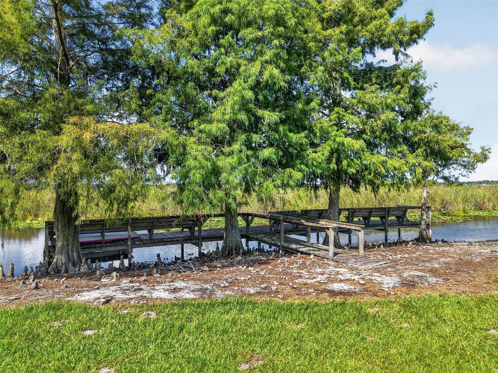 4300 BAYWOOD BOULEVARD, #A103, Mount Dora, FL 32757