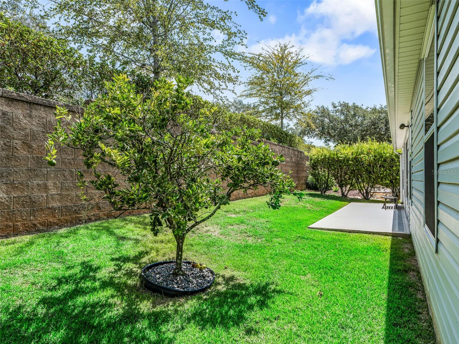 Private back yard with Patio