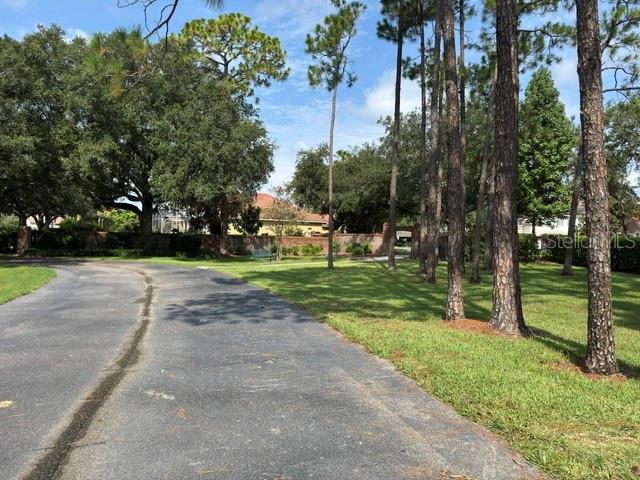 Community Park